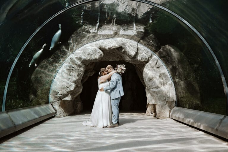 ZOOM Erlebniswelt Gelsenkirchen Ryokan Gelsenkirchen Hochzeitsfotograf - Braut und Bräutigam unter Wasser Unterwasser-Tunnel. Über Ihnen Seerobben