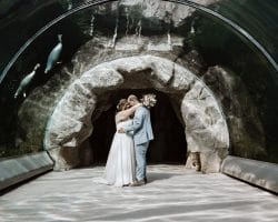 ZOOM Erlebniswelt Gelsenkirchen Ryokan Gelsenkirchen Hochzeitsfotograf - Braut und Bräutigam unter Wasser Unterwasser-Tunnel. Über Ihnen Seerobben