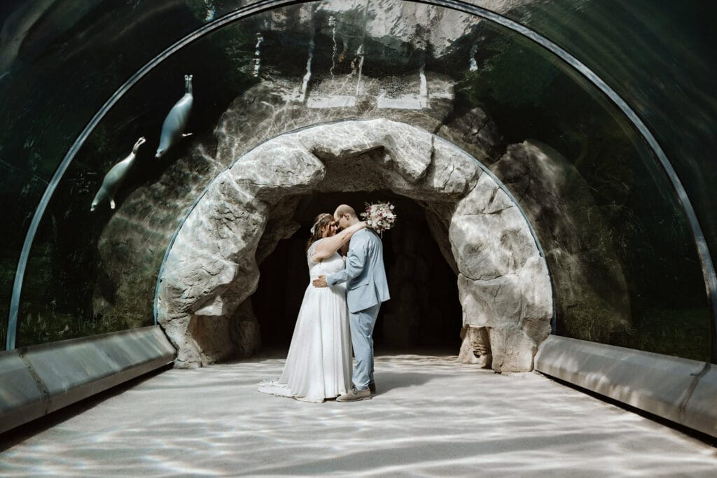 Hochzeit Heiraten Hochzeitsfotograf Dominik Neugebauer - Das Brautpaar ist bei der Brautpaar-Session im Tierpark ZOOM Erlebniswelt unter dem Wassertunnel. Über ihnen schwimmen zwei Robben.