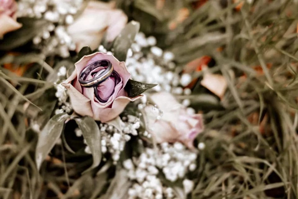 Hochzeitsringe und Verlobungsringe - Zwei Eheringe in einer rosa Rosa