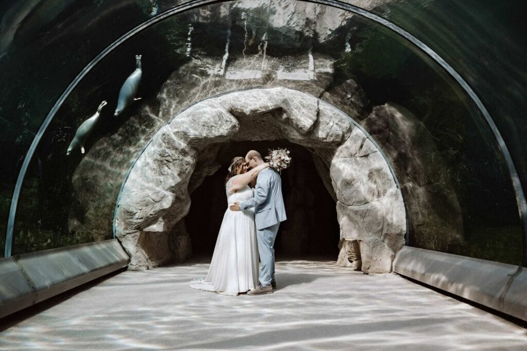 Hochzeitsfotograf Bochum Hochzeit Heiraten Hochzeitsfotos - Das Brautpaar ist bei der Brautpaar-Session im Tierpark ZOOM Erlebniswelt unter dem Wassertunnel. Über ihnen schwimmen zwei Robben