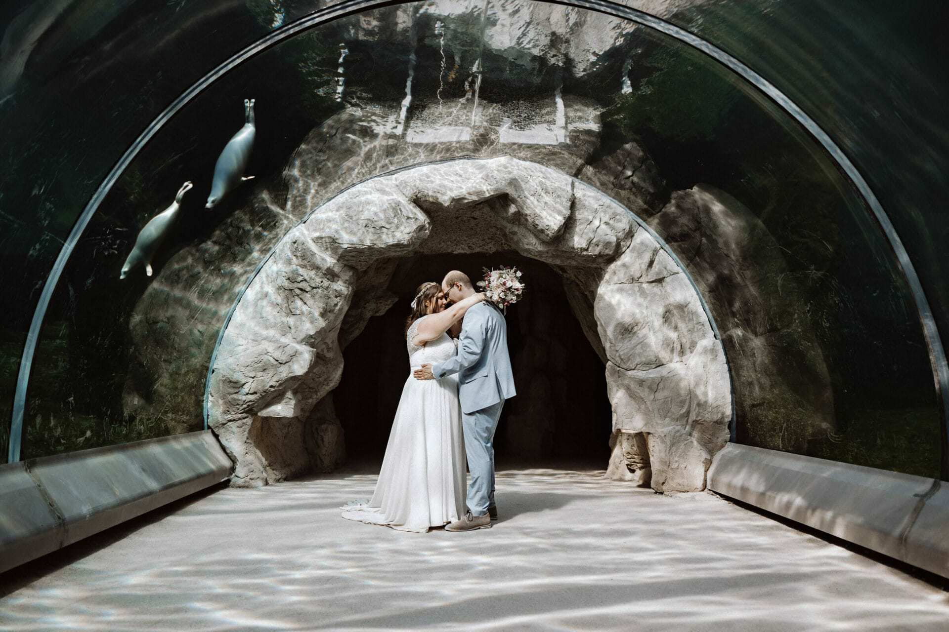 Hochzeitsfotograf Bergkamen Hochzeit Heiraten Hochzeitsfotos - Das Brautpaar ist bei der Brautpaar-Session im Tierpark ZOOM Erlebniswelt unter dem Wassertunnel. Über ihnen schwimmen zwei Robben